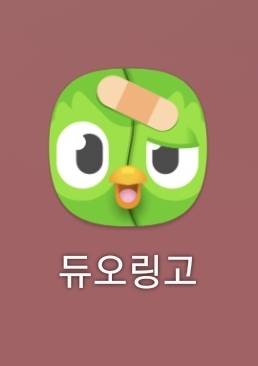 [잡담] 듀오링고 이자식은 맨날 공부해주는데 왜 얼굴 빠갈난거야 | 인스티즈