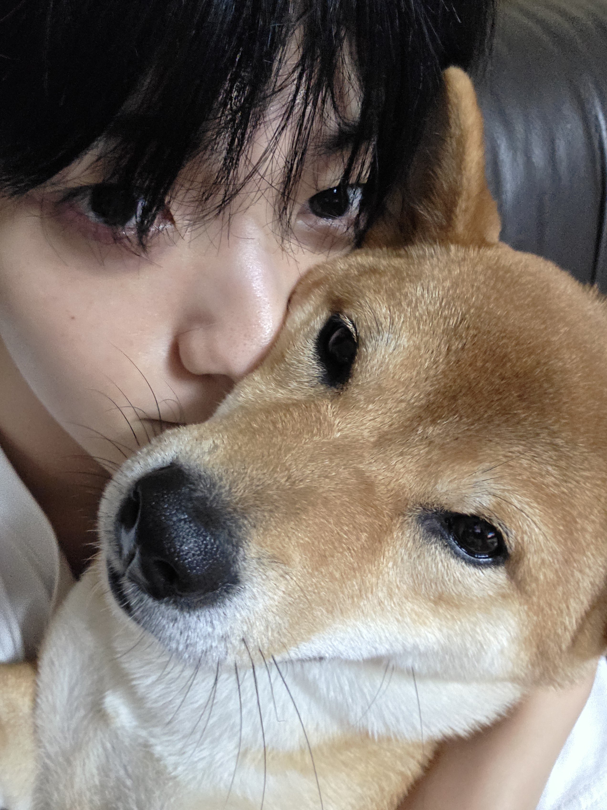 [잡담] 진지하게 수빈이네 강아지 토리 진짜 미견 아님? | 인스티즈