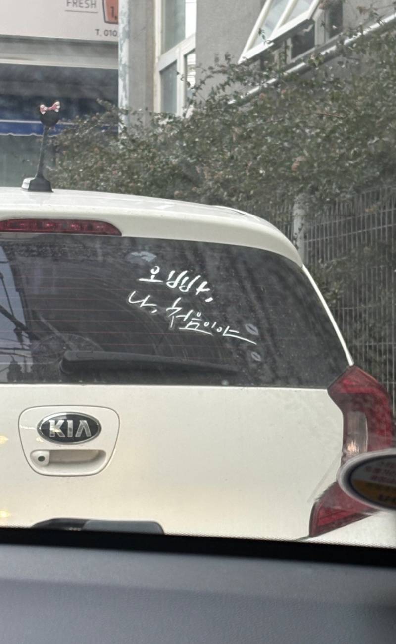 [잡담] 아 초보운전 문구 개드럽다 | 인스티즈