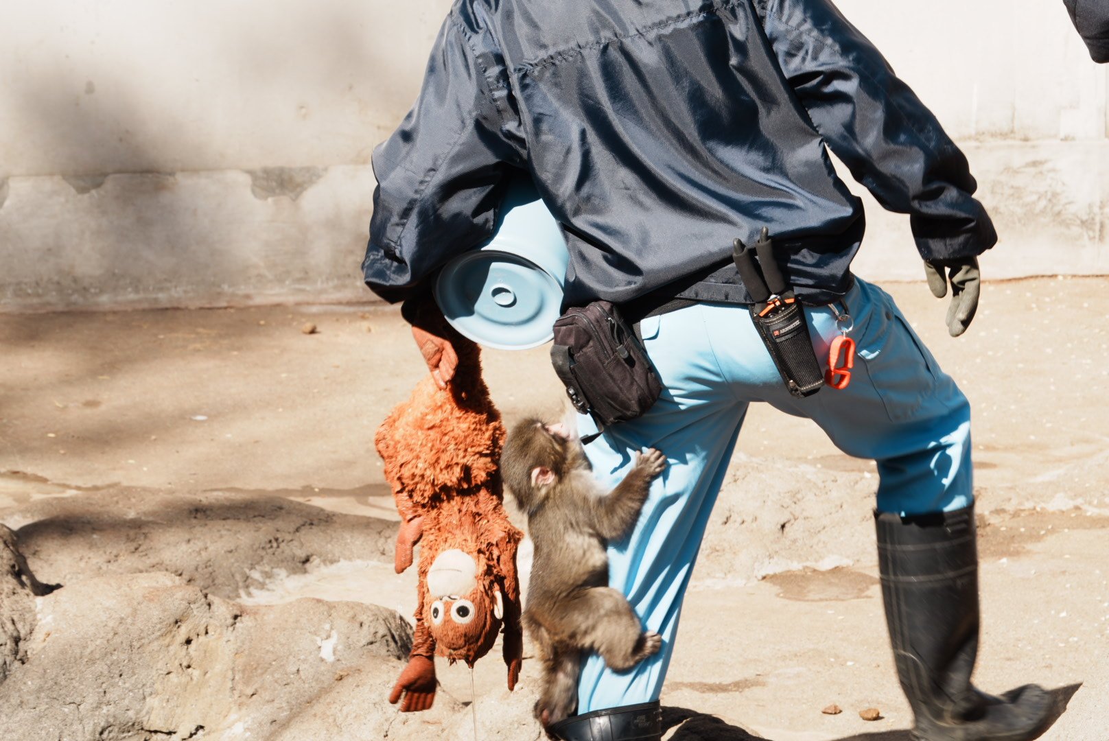 [잡담] 펀치 커져도 여전히 아기구나 | 인스티즈