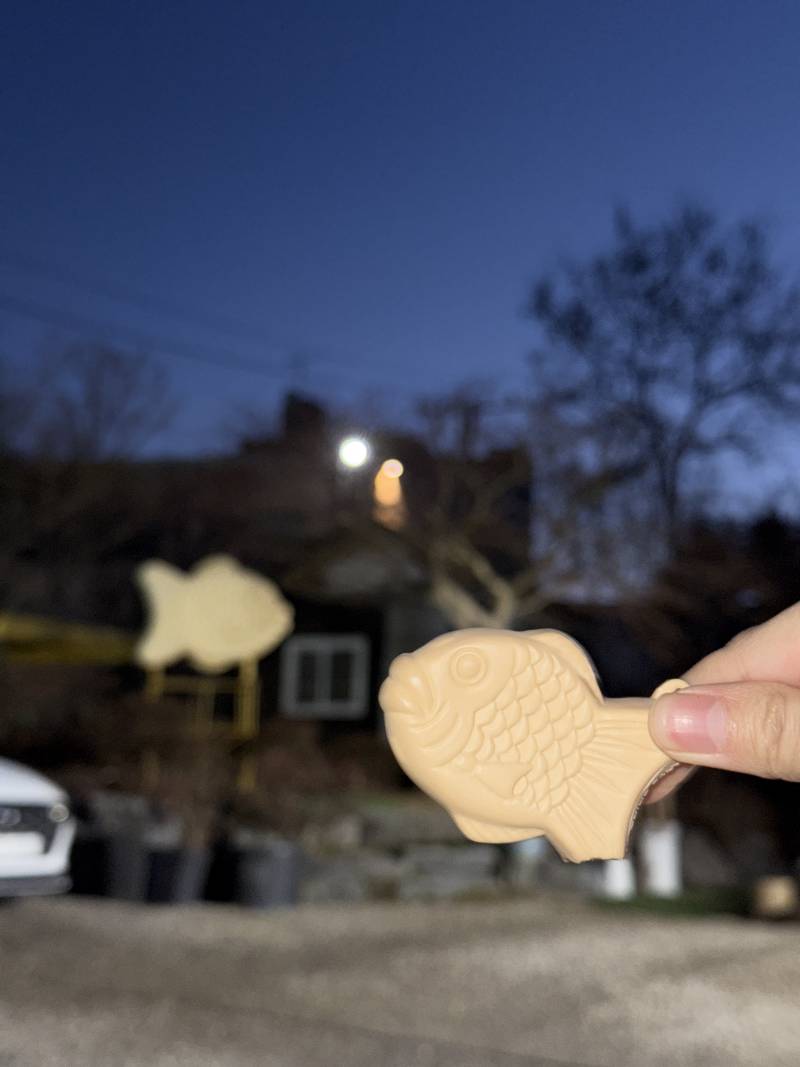 [잡담] 붕어 자만추함💕 | 인스티즈