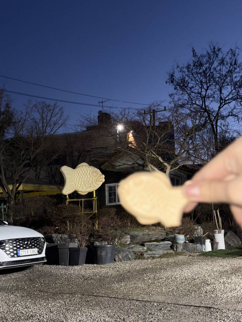 [잡담] 붕어 자만추함💕 | 인스티즈