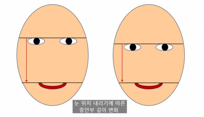 [잡담] 와 중안부 길다고 다 코가 긴건 아니구나 | 인스티즈