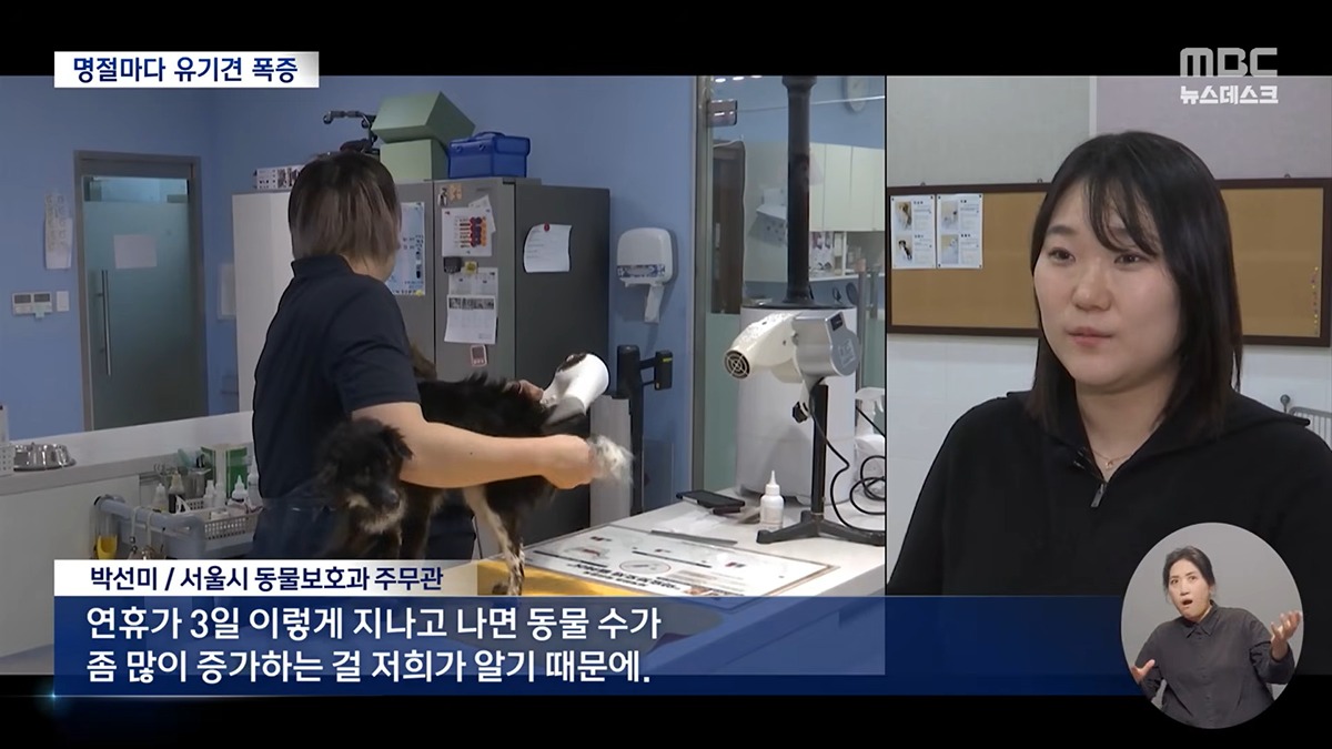 [정보/소식] 설·추석에 휴게소에 버려진 반려동물 6천 마리 | 인스티즈