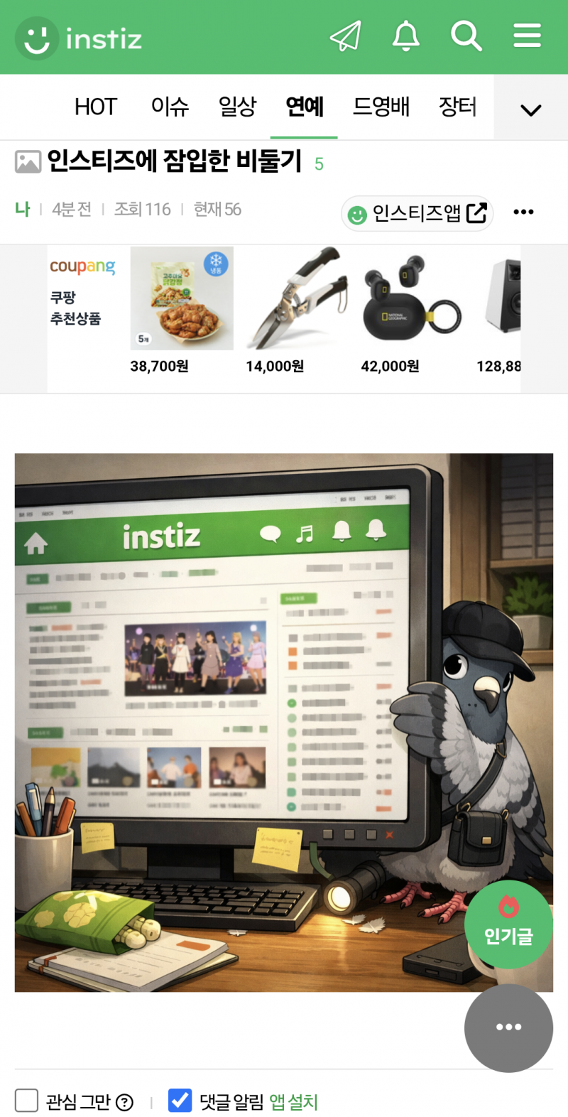 [잡담] 이게 비둘기좌야?? | 인스티즈