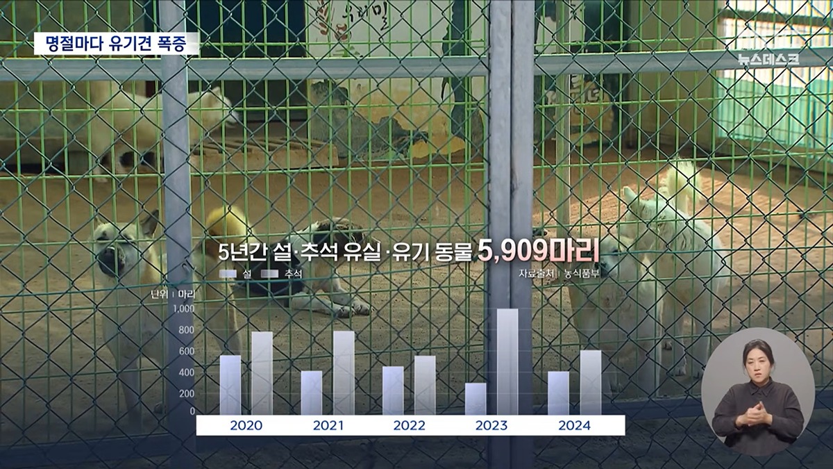[정보/소식] 설·추석에 휴게소에 버려진 반려동물 6천 마리 | 인스티즈