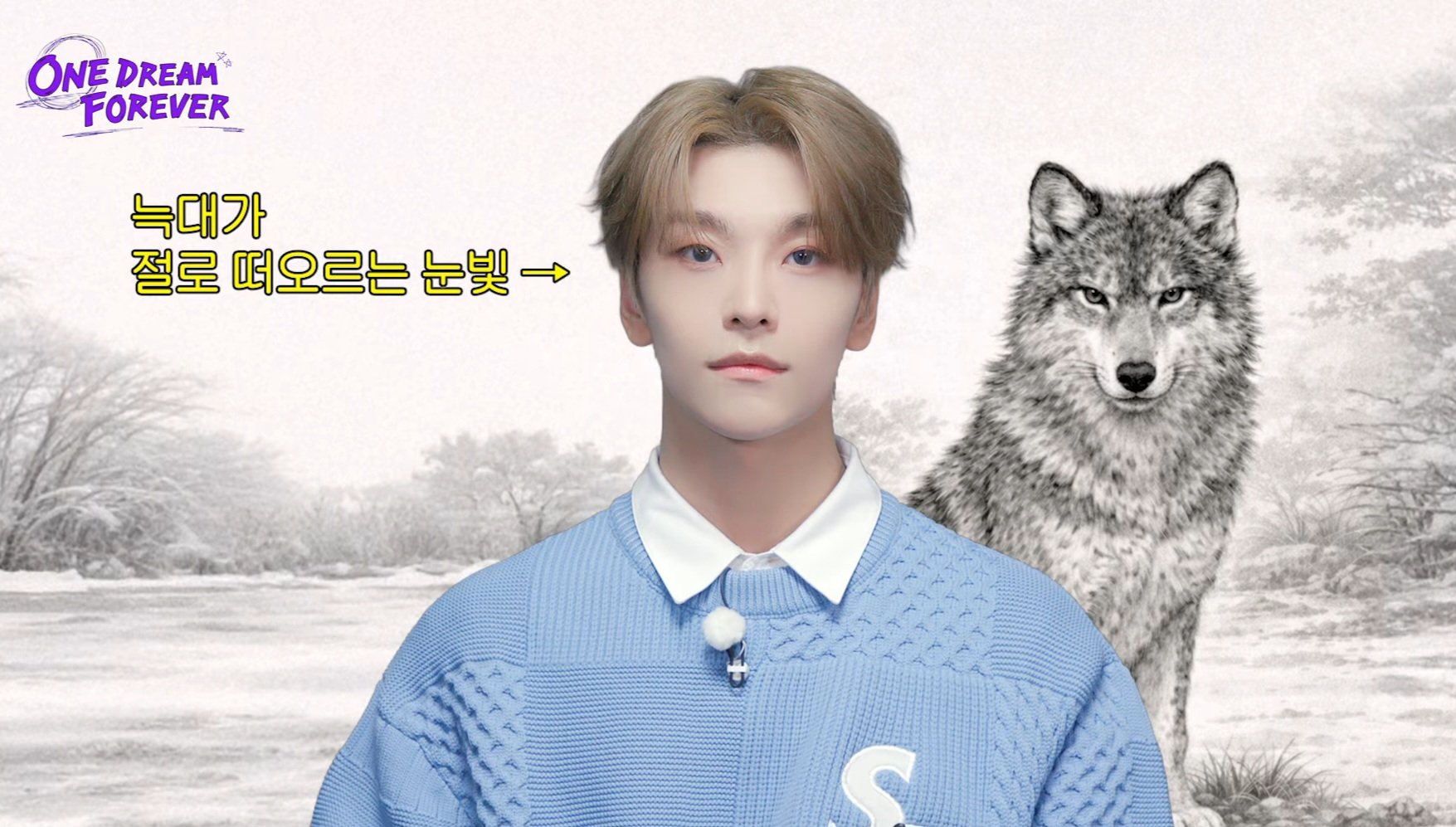 [잡담] 관상가가 보는 알디원 멤버들 동물상 | 인스티즈