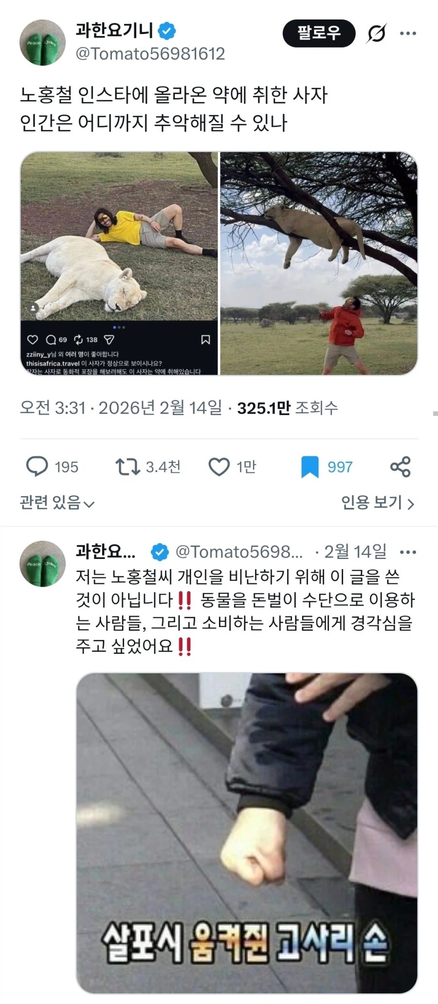 노홍철 동물학대 논란 | 인스티즈