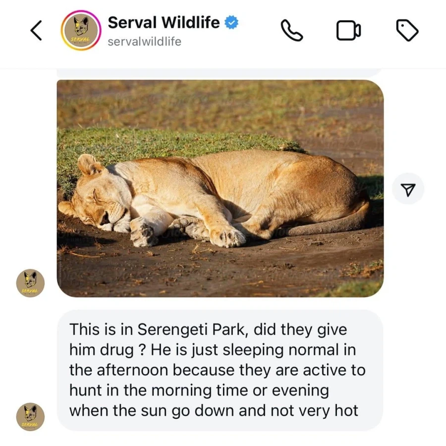 노홍철 동물학대 논란 | 인스티즈