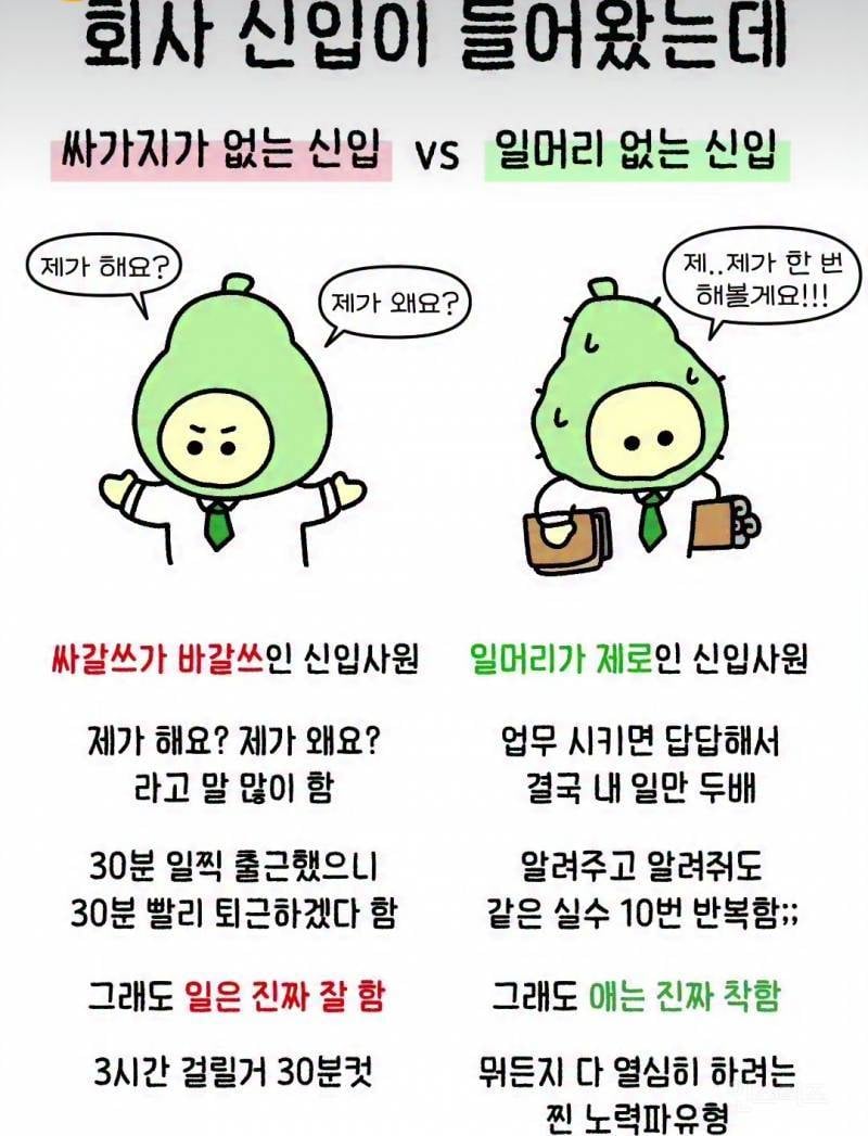 [잡담] 일머리없는 답답+mz의정석 신입이 동시에들어왔거든? | 인스티즈