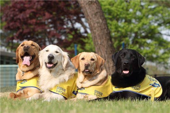 삼성에서 하는 33년째 매출 '0'원인 사업 | 인스티즈