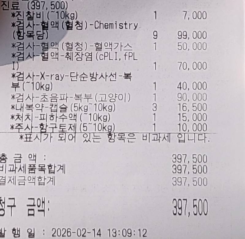 [잡담] 고양이 보험들기 잘했다 ㅠ.ㅠ | 인스티즈