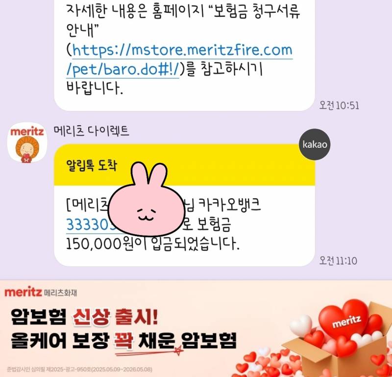 [잡담] 고양이 보험들기 잘했다 ㅠ.ㅠ | 인스티즈