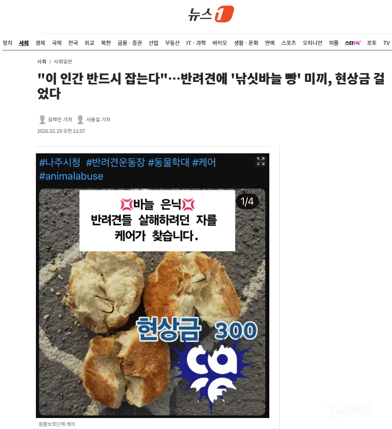 반려견에 '낚싯바늘 빵' 미끼, 현상금 걸었다 | 인스티즈