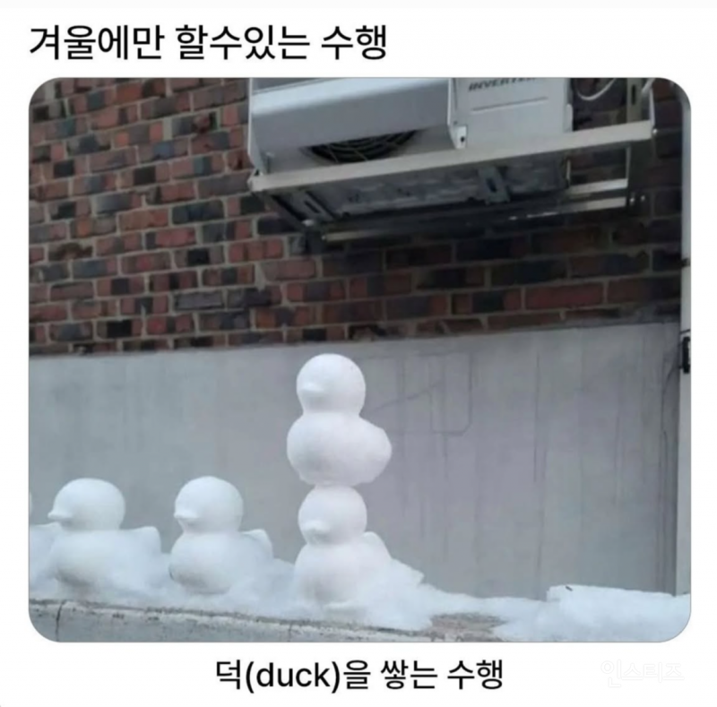 겨울에만 할수있는데 놓쳤다 | 인스티즈