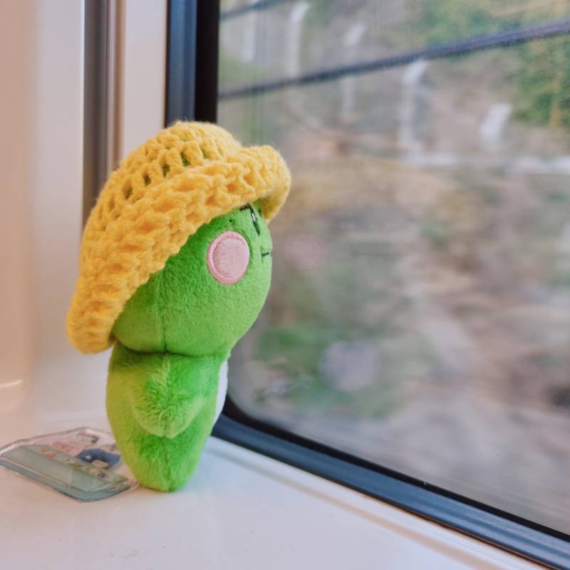 [잡담] 애착인형이랑 기차여행 다녀왔어 | 인스티즈