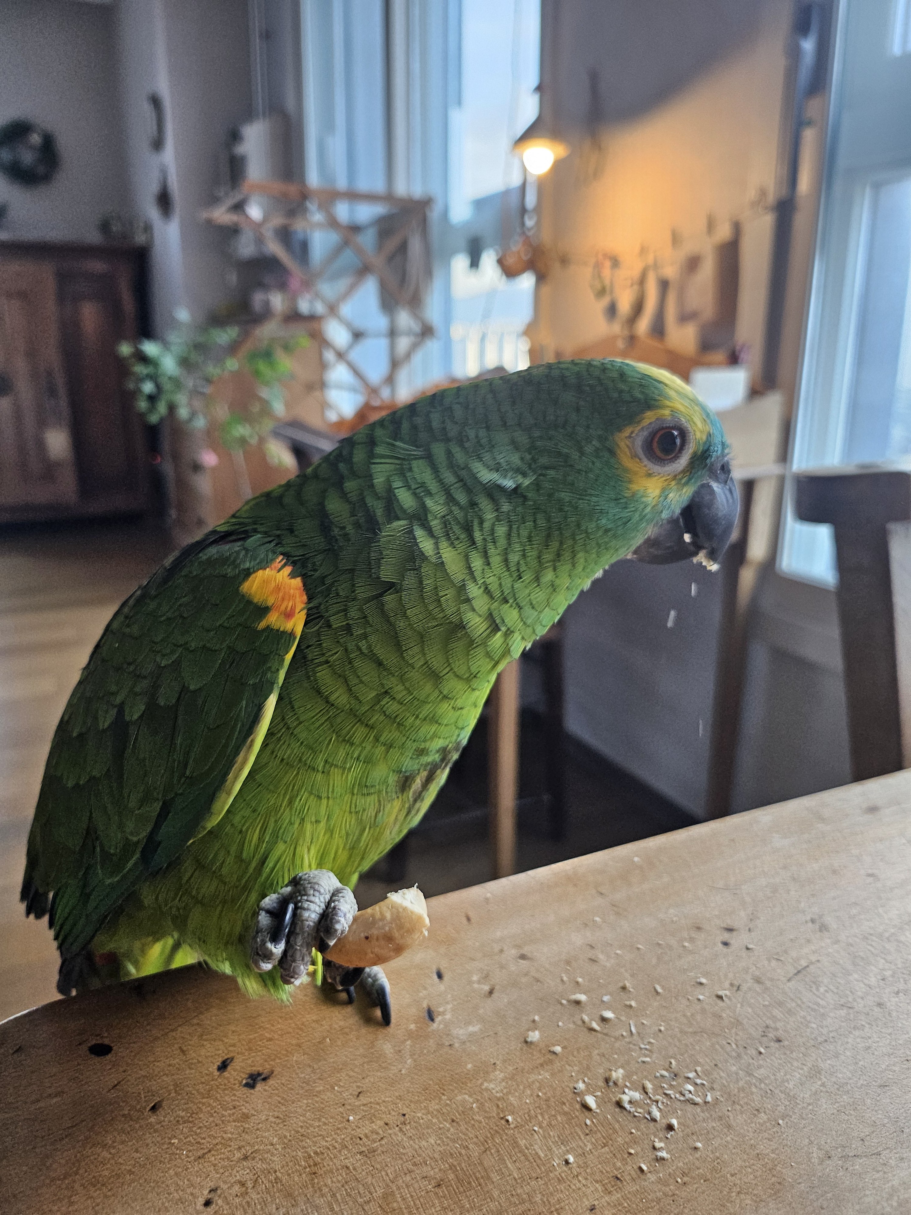 [잡담] 나 진짜 범규가 보내주는 본가 사진 보면 인테리어 장난없겠다 싶음 | 인스티즈