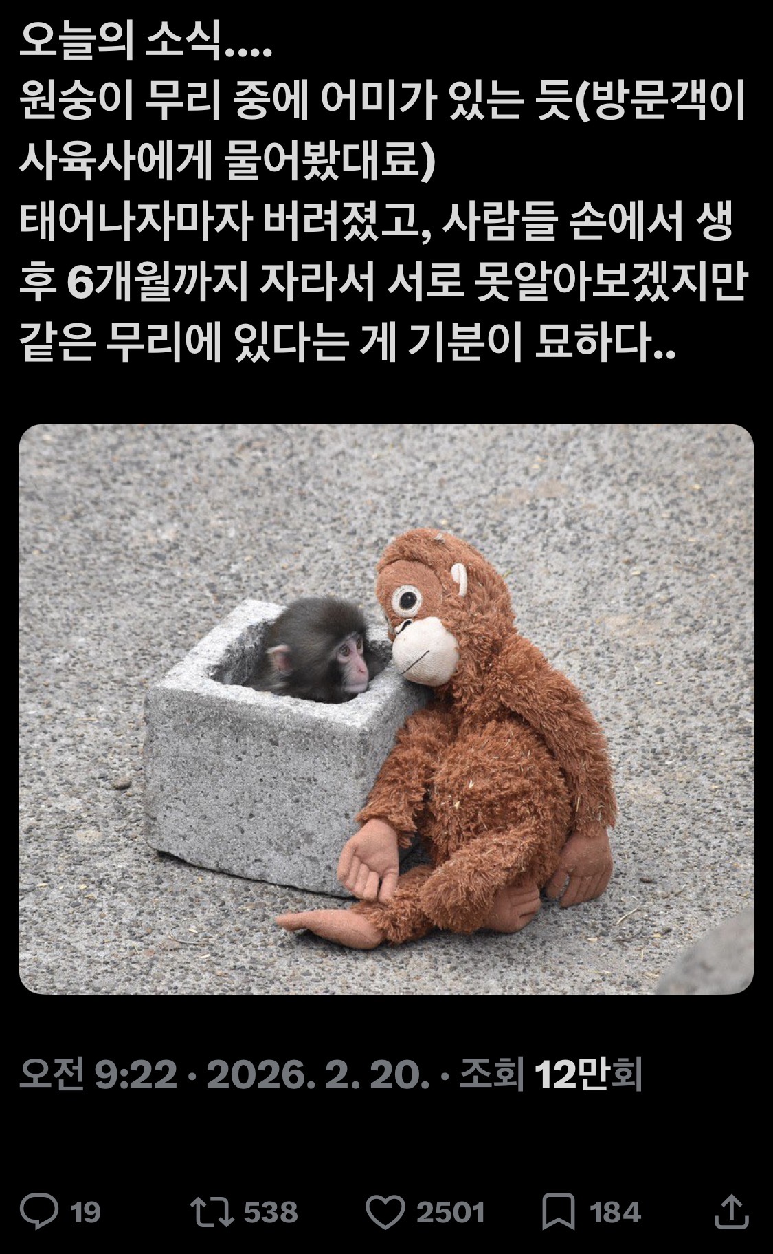 [잡담] 펀치 엄마가 같은 무리에 있단 트위터 글 가지고 와봄 | 인스티즈