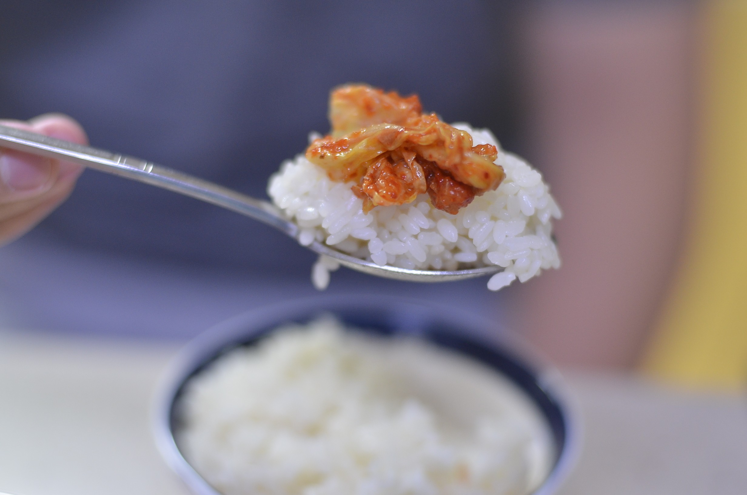 [잡담] 밥이랑 궁합 좋은애 누구라고 생각함? | 인스티즈