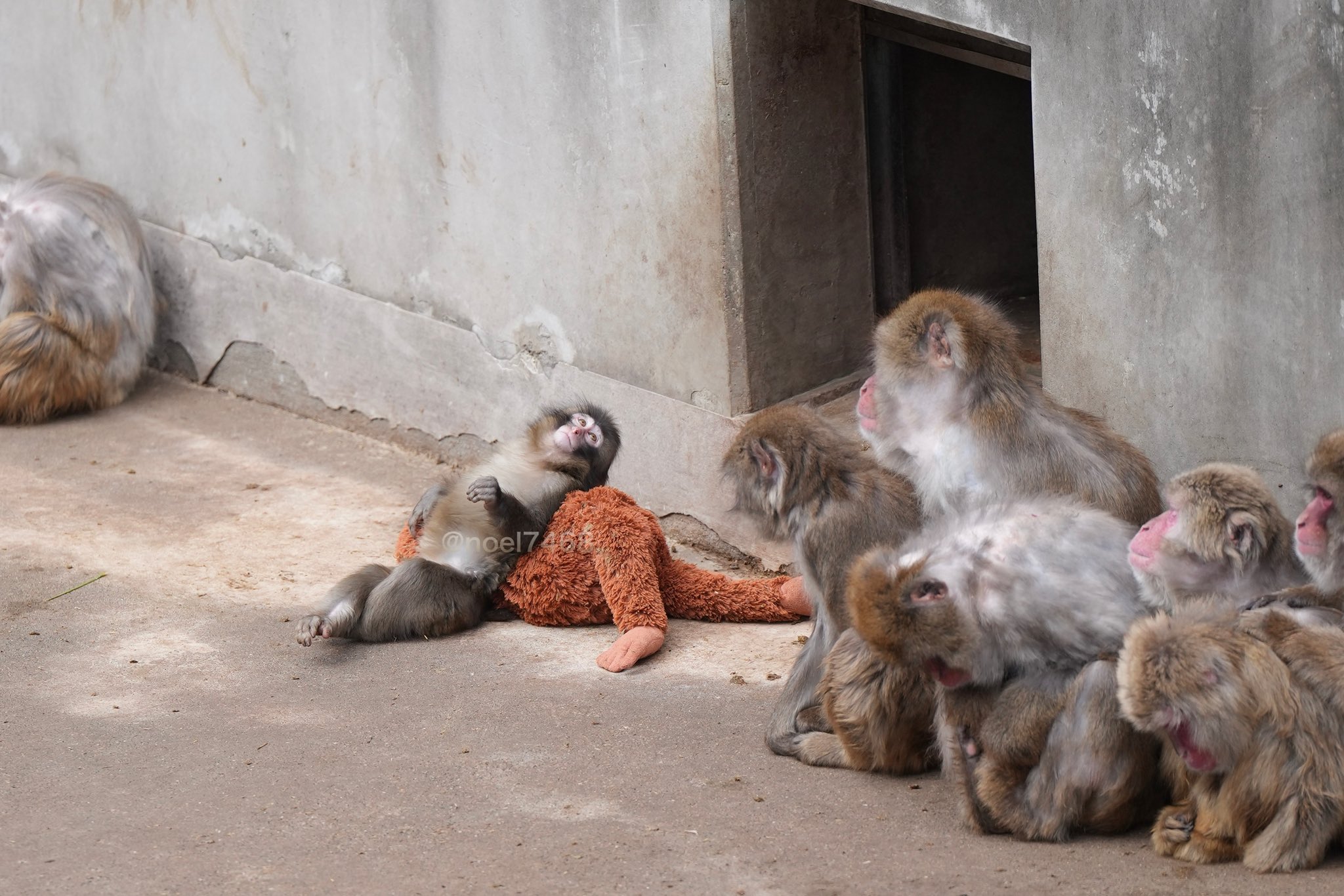 [잡담] 이거 너무 펀쪽이 같이 나옴ㅋㅋㅋㅋ | 인스티즈