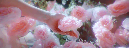 [HQ/시뮬] 정실싸움 | 인스티즈