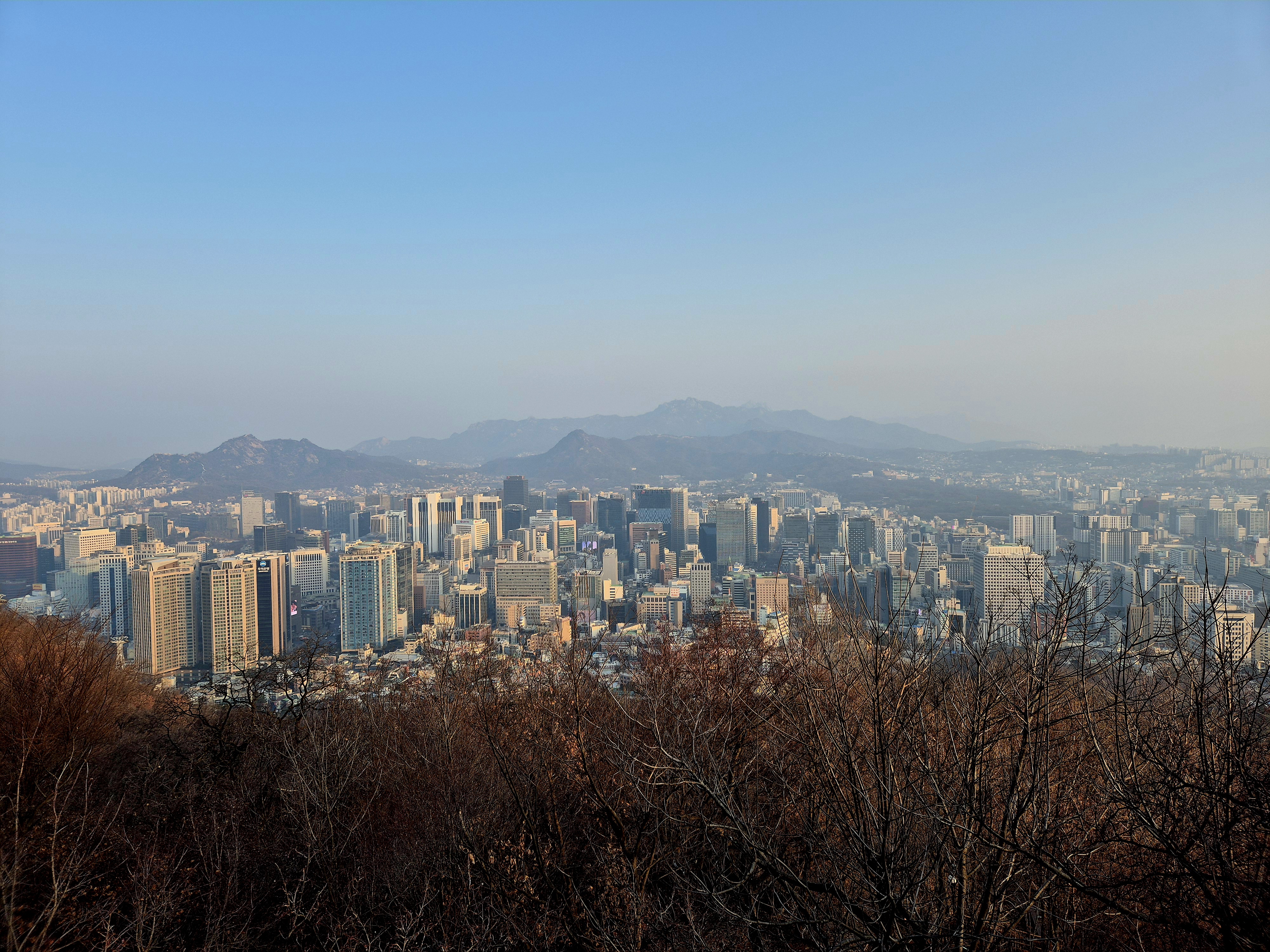 [잡담] 아침에 남산 와봐 | 인스티즈