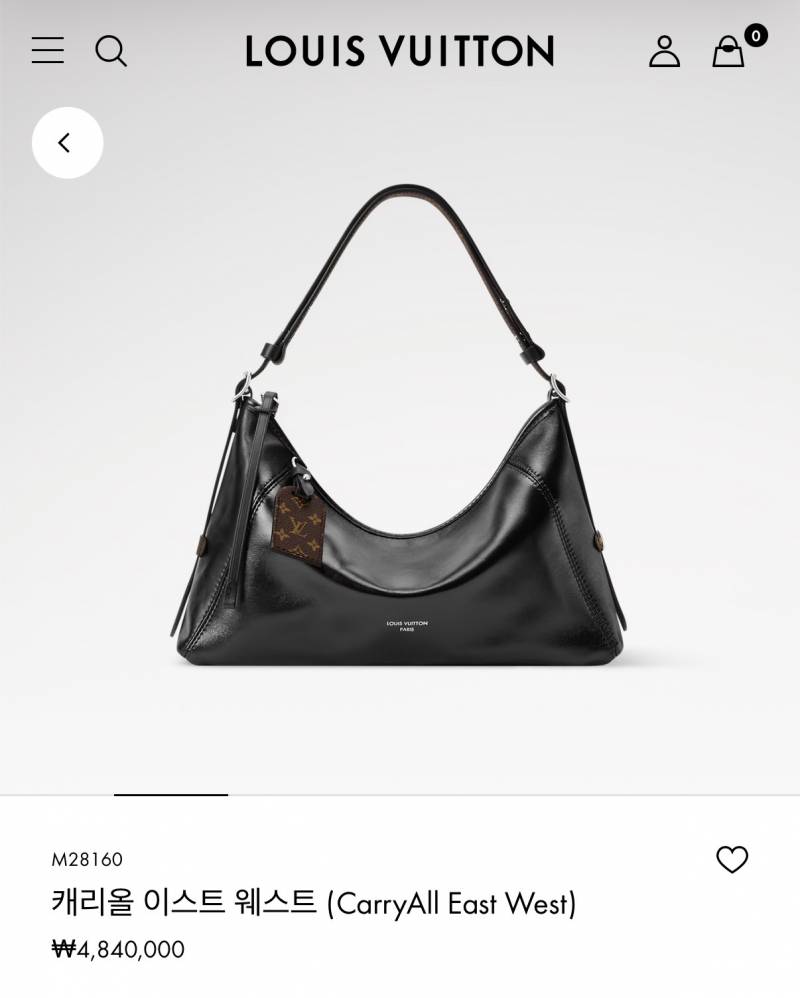 [잡담] 루이비통 어떤걸 더 오래들까???? | 인스티즈