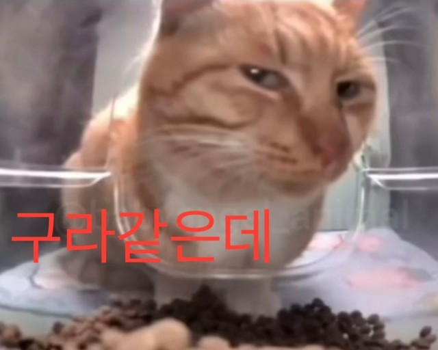 [잡담] 엥 개강 일주일도 안 남았대 | 인스티즈