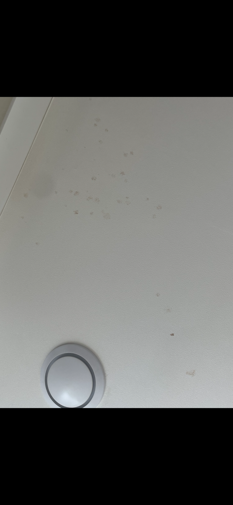 [잡담] 월세방 빼는데 도배를 새로 해달래 ㅜ | 인스티즈