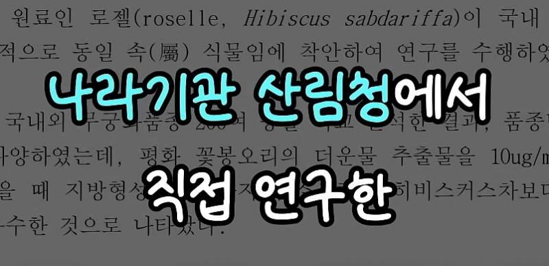 [잡담] 폰트 잘 아는 사람 있어? | 인스티즈