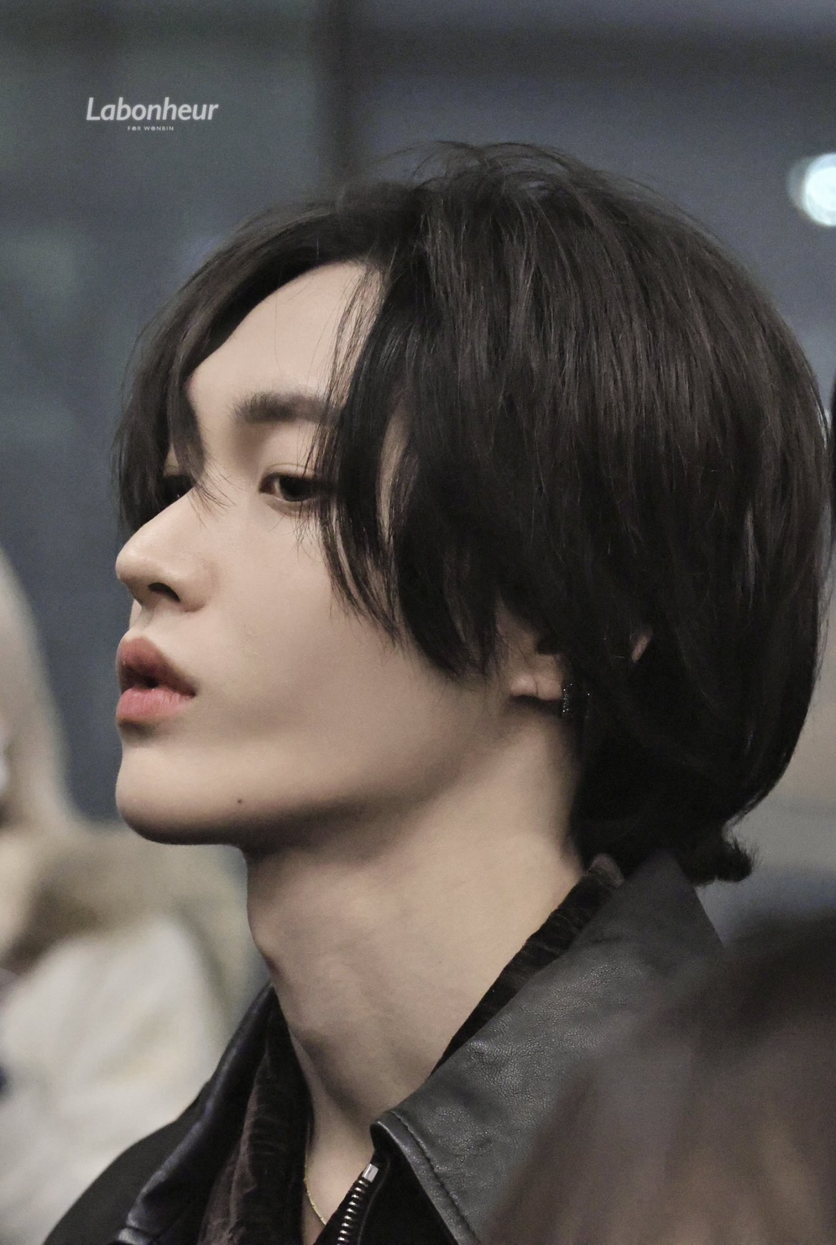 [잡담] 이상형이 원빈이면 | 인스티즈