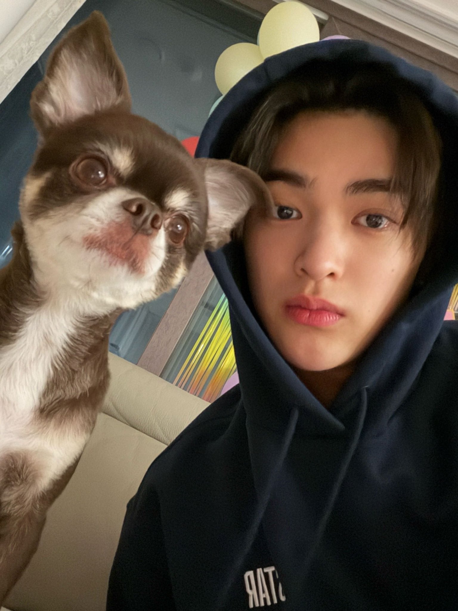 [잡담] 아 안건호랑 쿠키왔어…………….. | 인스티즈