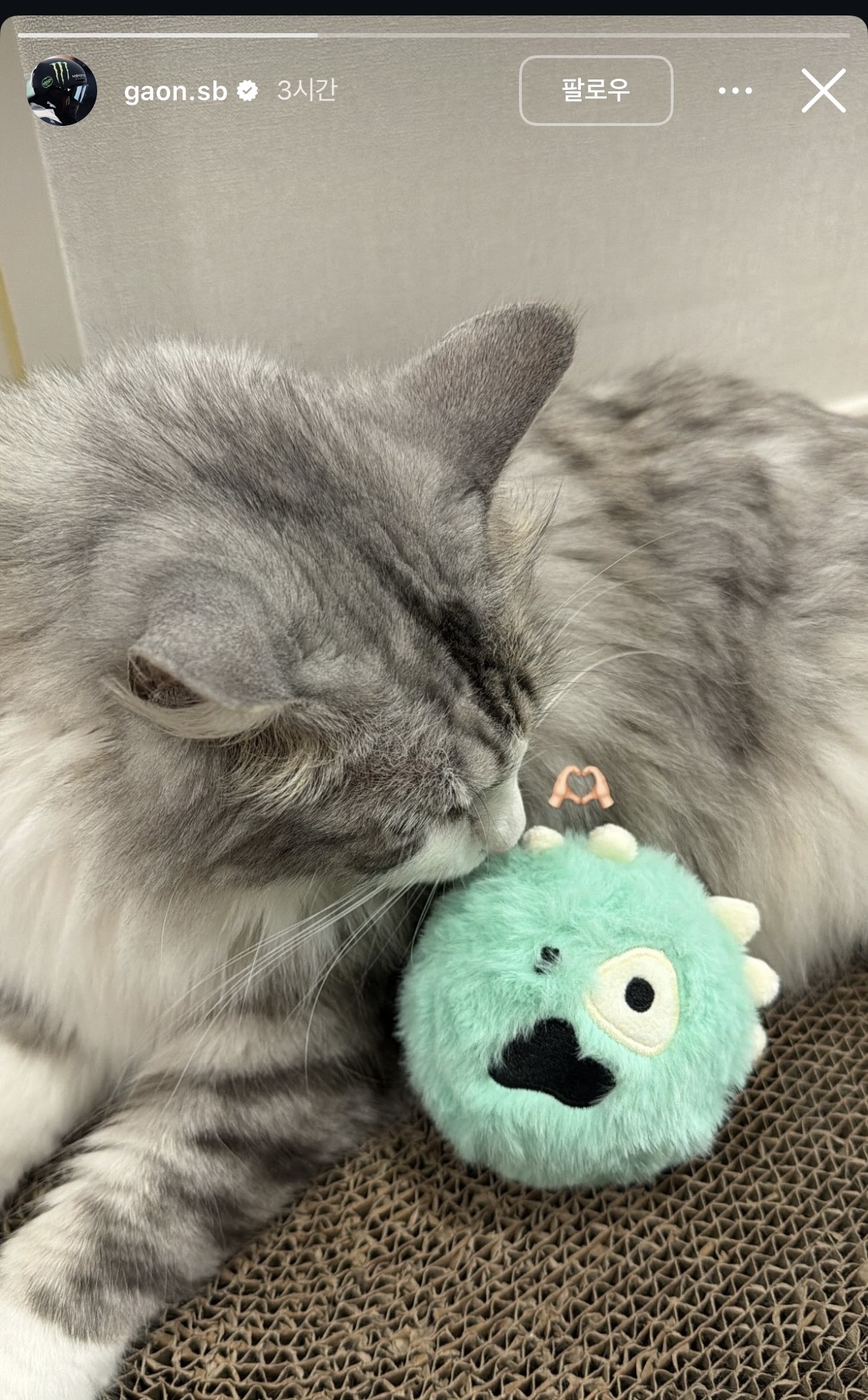 [잡담] 최가온선수 인스스에 코르티스볼 올라왔는데 | 인스티즈