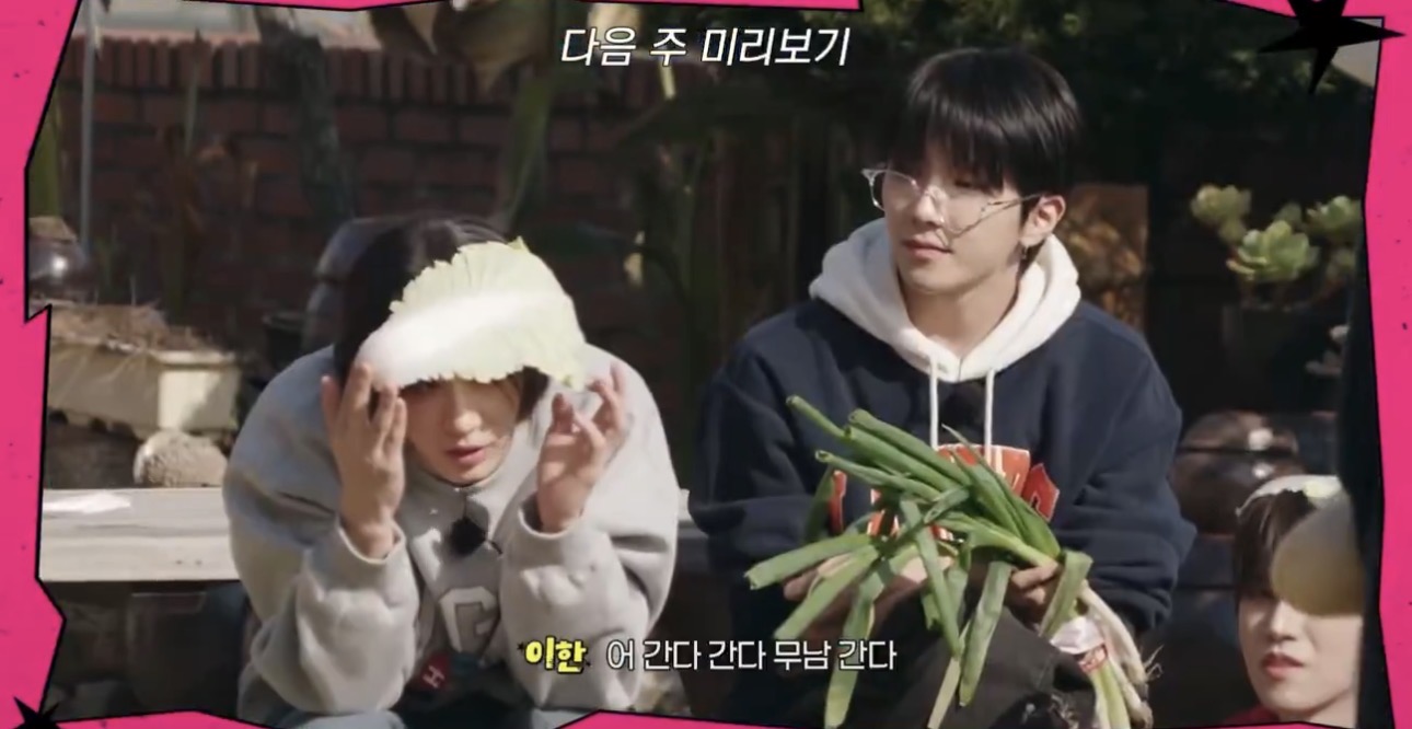[잡담] 이한 배추로 햇빛 가리는 거 왜케 웃기냨ㅋㅋㅋㅋㅋㅋㅋㅋㅋ | 인스티즈