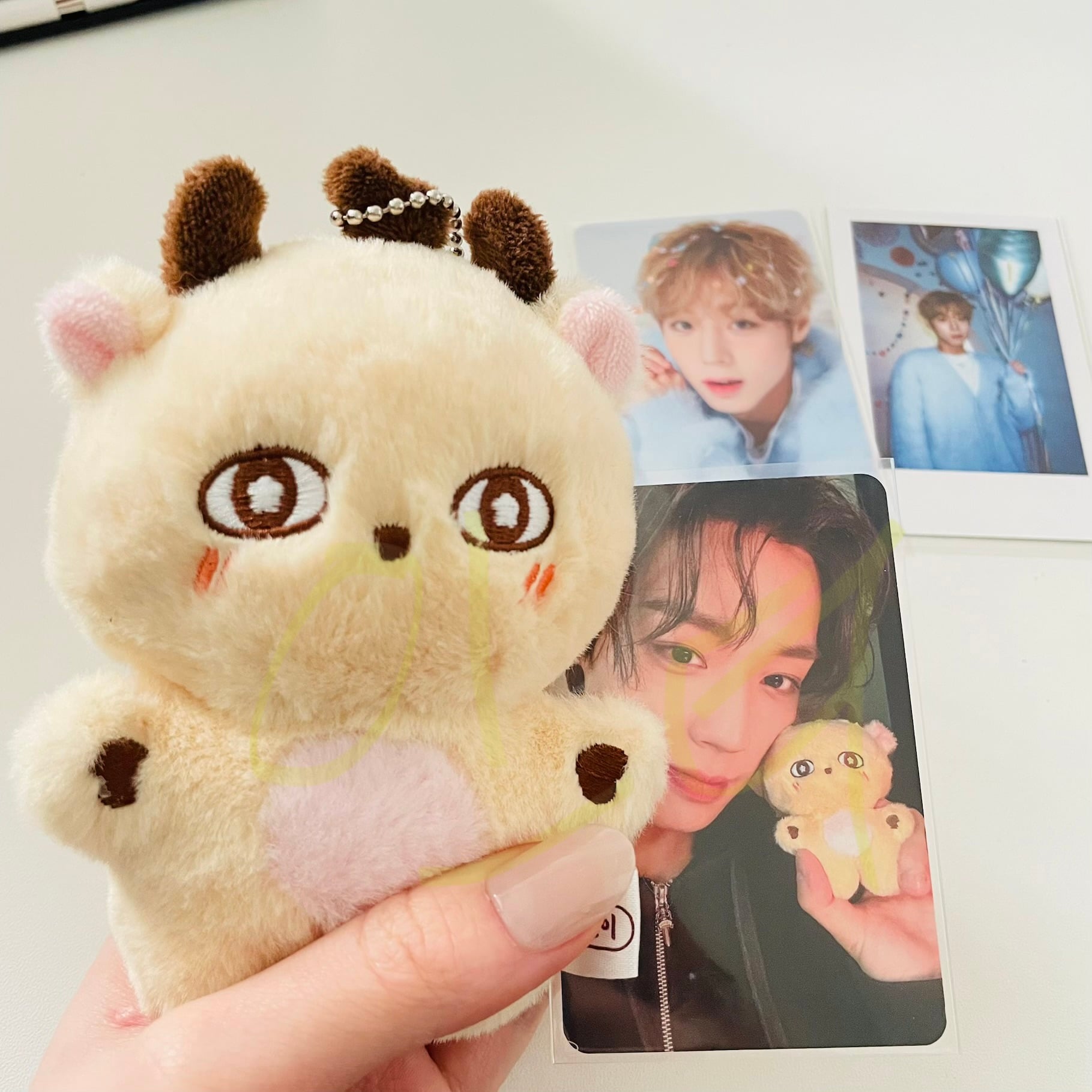 [잡담] 나 박지훈 소심이 인형있어✌️ | 인스티즈