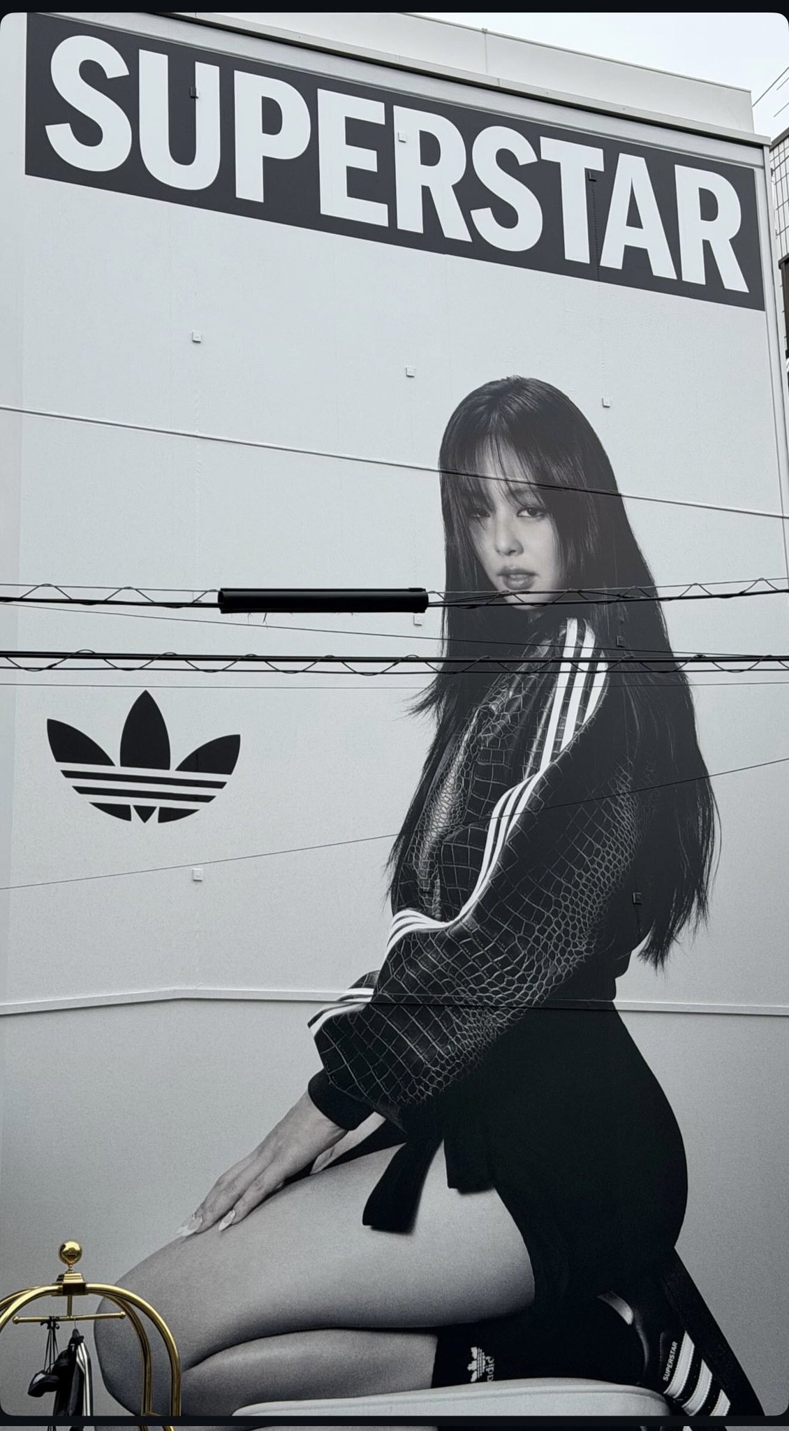 [잡담] 제니 아디다스 캠페인 온다 | 인스티즈