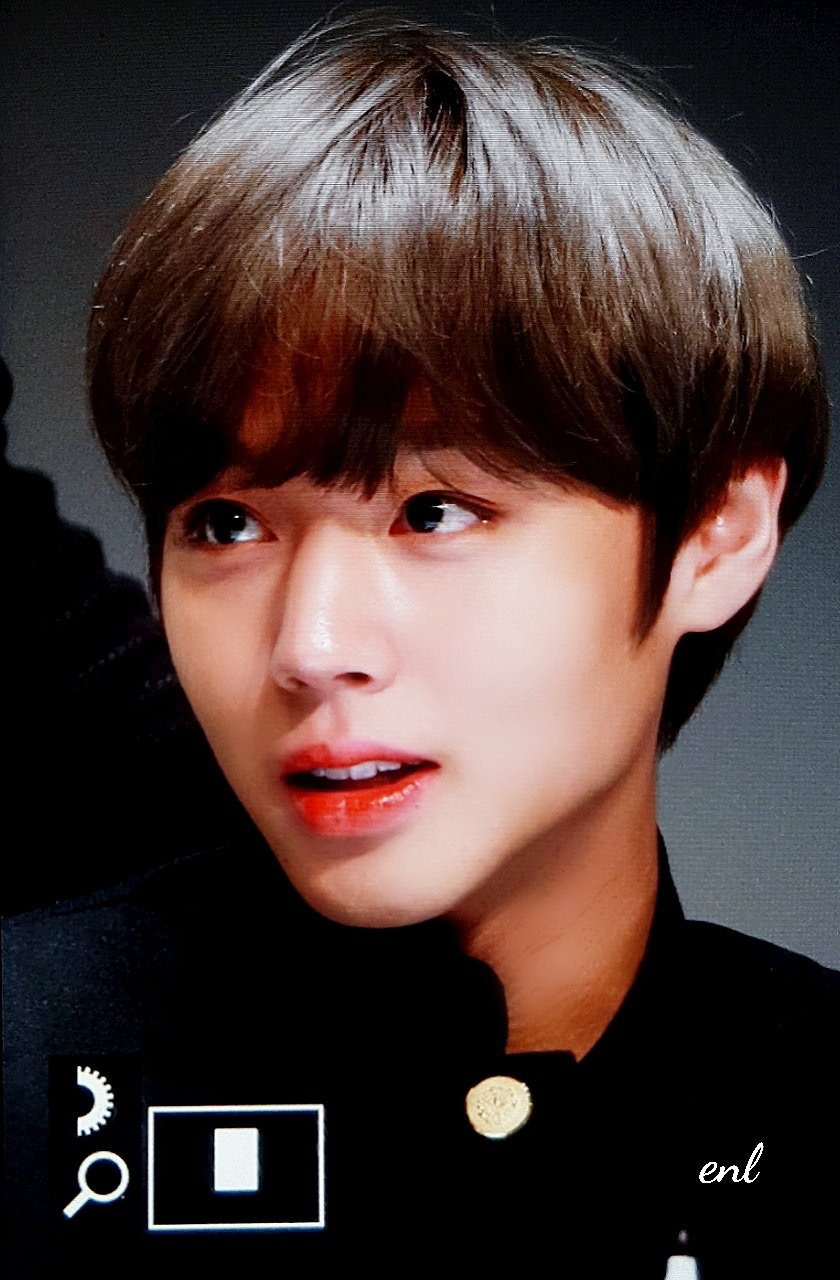 [잡담] 내가 저장한 박지훈 사진들… | 인스티즈