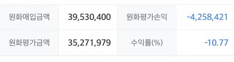 [잡담] 다들 국장으로 돈벌때 25살 주린이 미장상태 | 인스티즈