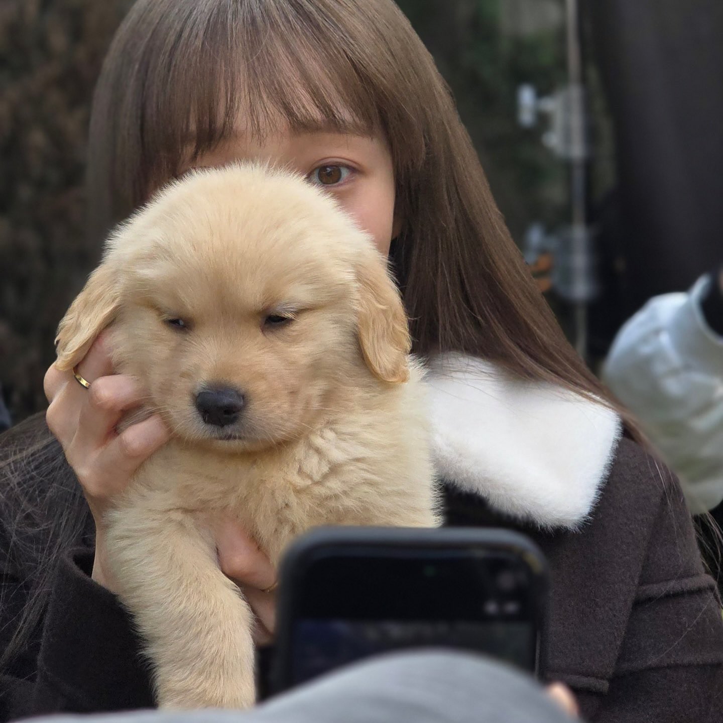 [잡담] 찬너계) 천재 + 란 ? | 인스티즈