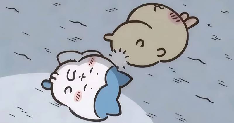 [잡담] 계속 자고 싶어라 💤 | 인스티즈