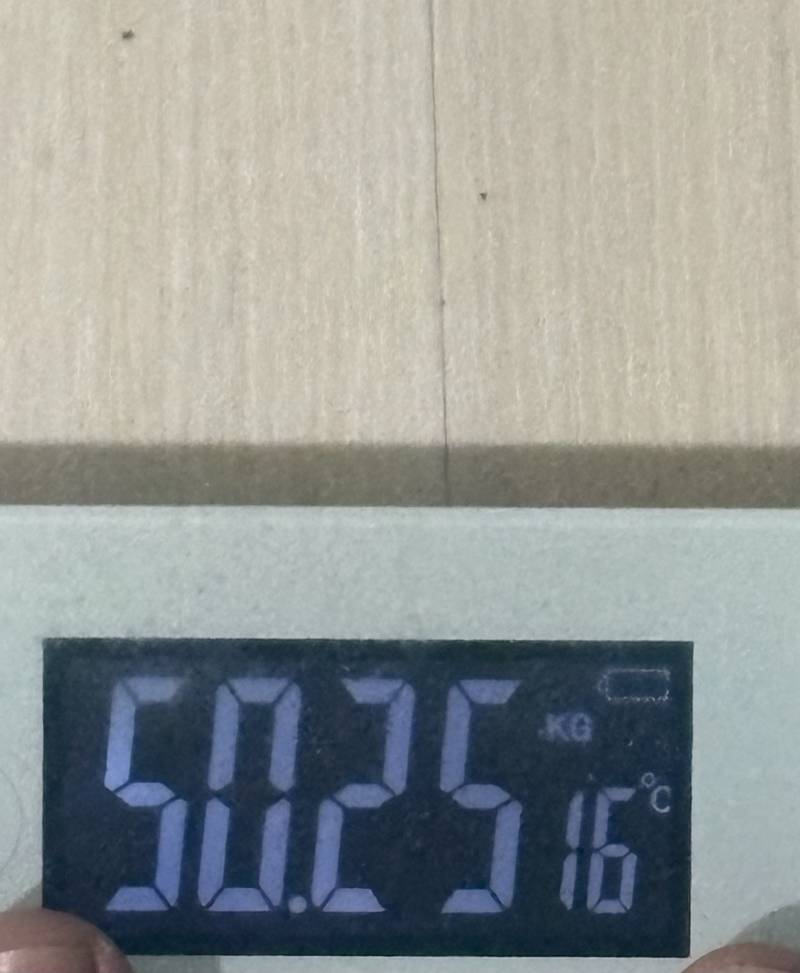 [잡담] 나 진자 살 쉽게 뺀 듯 | 인스티즈