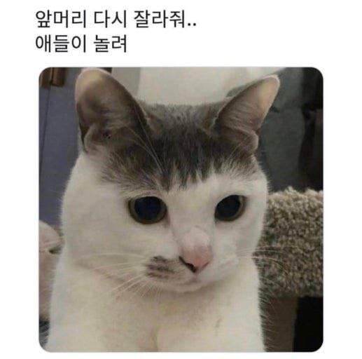 [잡담] 2월 월급...좋다..🥹 | 인스티즈