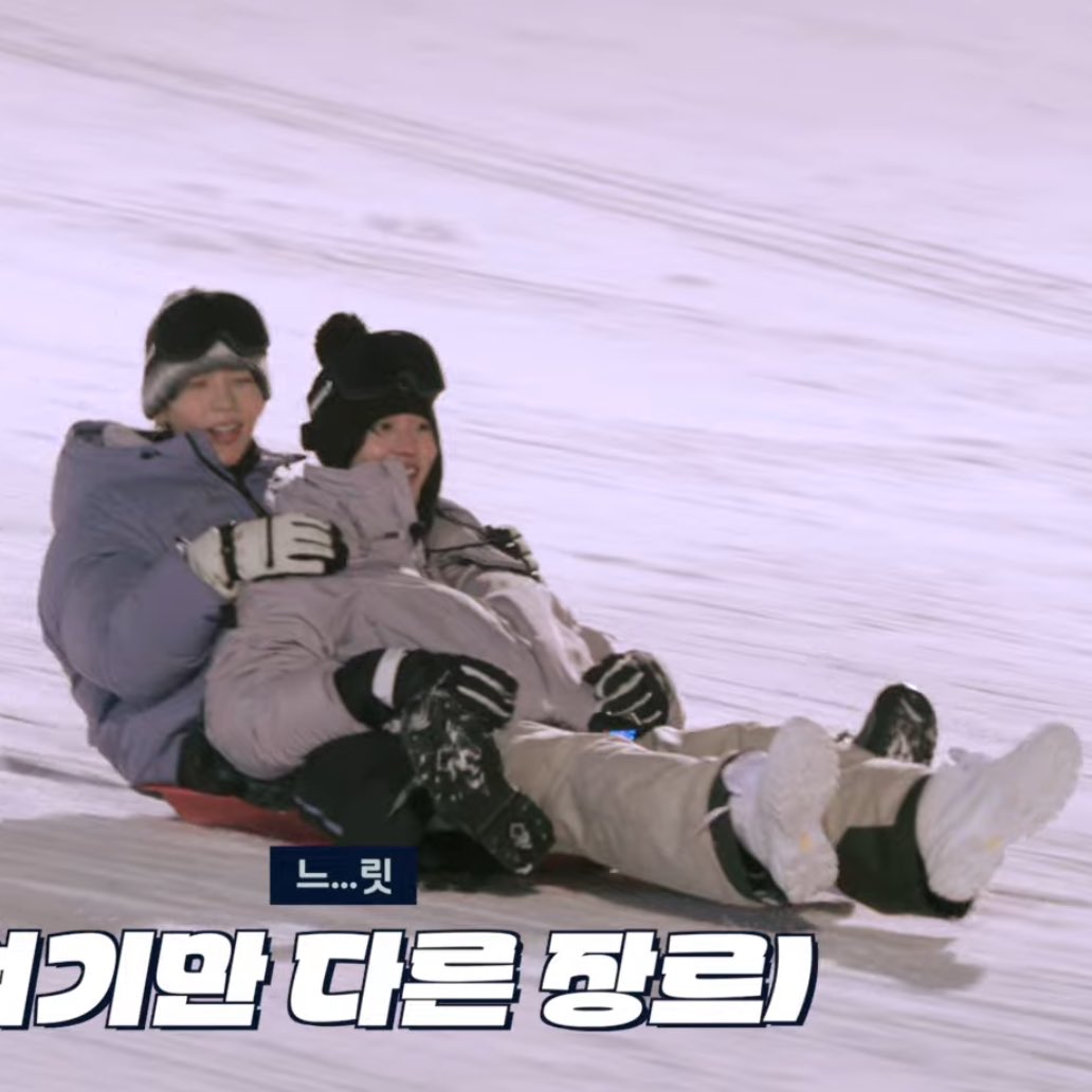 [잡담] 타로 원빈 썰매 메이트 앙나 귀엽다 | 인스티즈
