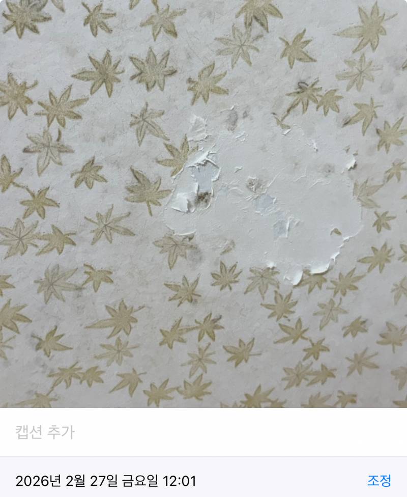[잡담] 벽지에 핀 곰팡이 아스토니쉬로 없앤후기 -혐주의 | 인스티즈