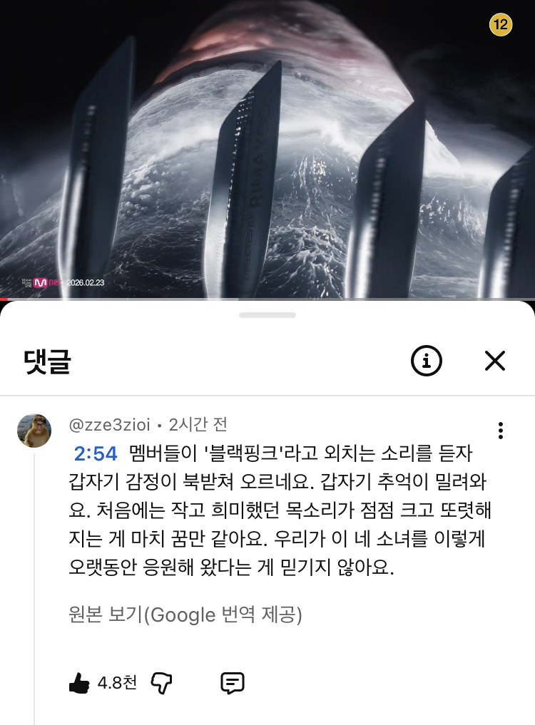 [잡담] 블핑 뮤비 댓글 보고 내가 감동받음.. | 인스티즈