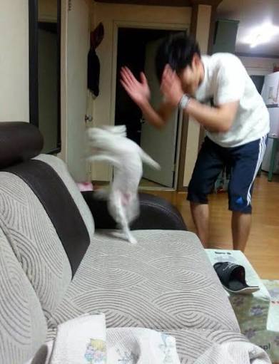 [잡담] 속보)이재명 ETF | 인스티즈