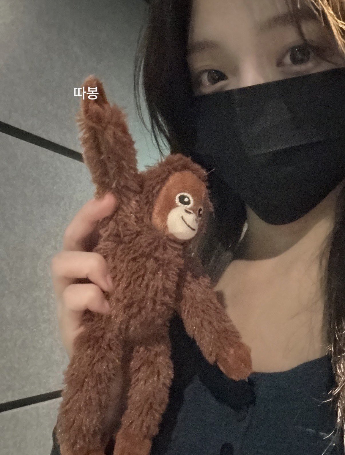 [잡담] 로하도 요즘 펀치 좋아하나봐 | 인스티즈