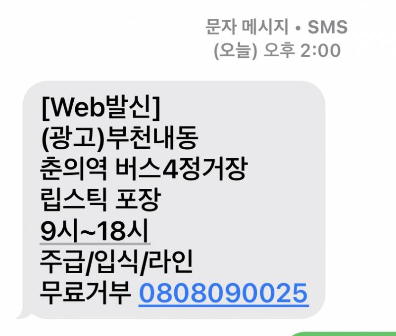 14개월동안 알바도 못한 히키 백수였는데 일 구했어 축하해주라 | 인스티즈