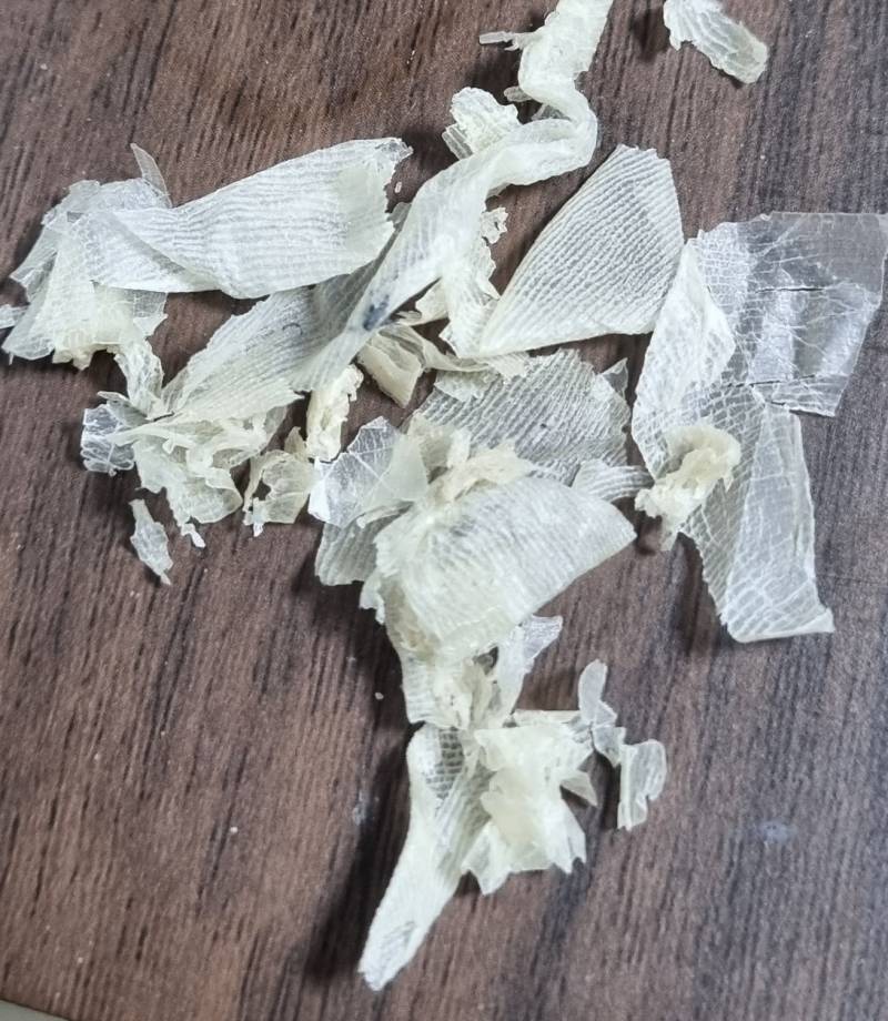 [잡담] 혐주의 나 발각질팩햇는데 일케됨 | 인스티즈