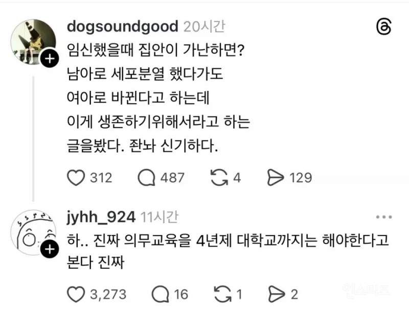 임신했을 때 집안이 가난하면 여아로 태어난다 | 인스티즈